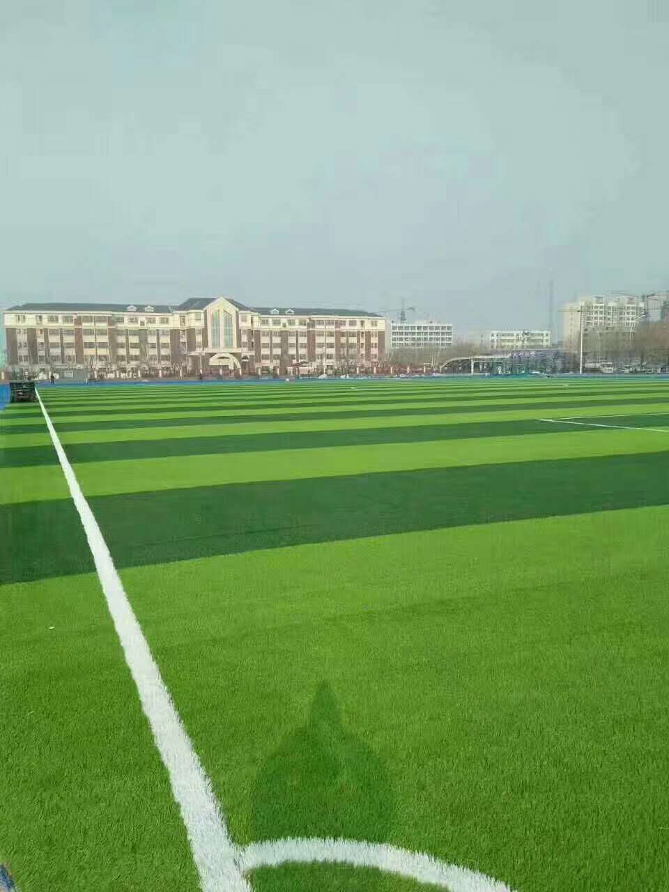 商丘市透气型塑胶跑道仿真草坪 - 推荐